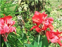 61c71297-Picture 011.jpg